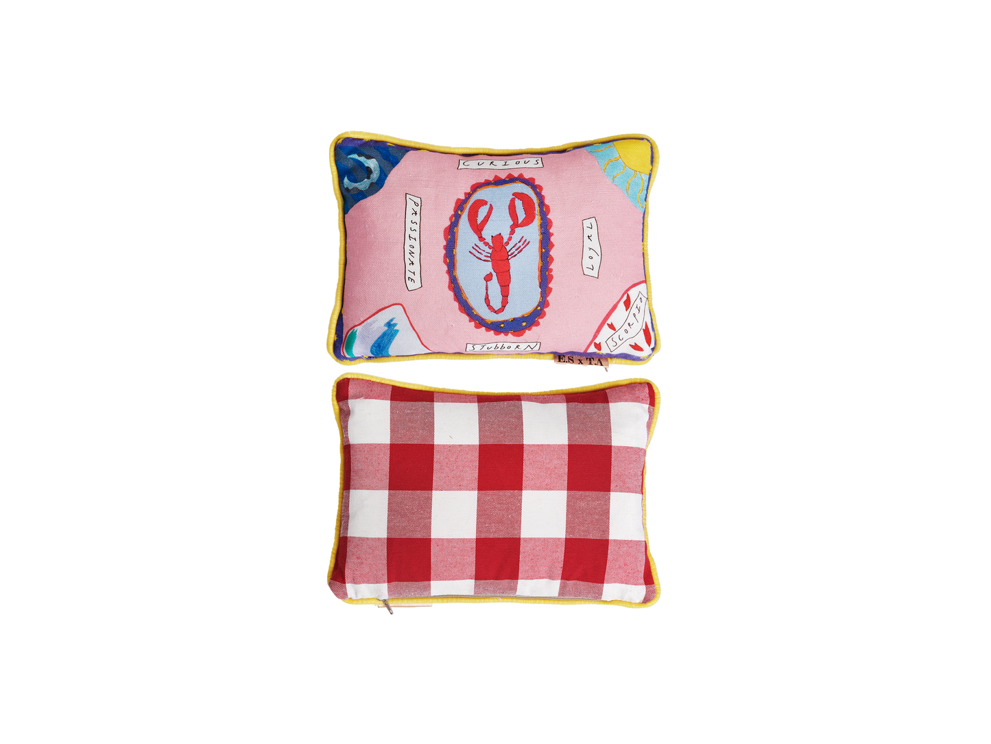 Scorpio Zodiac Cushion Collection – ES X TA