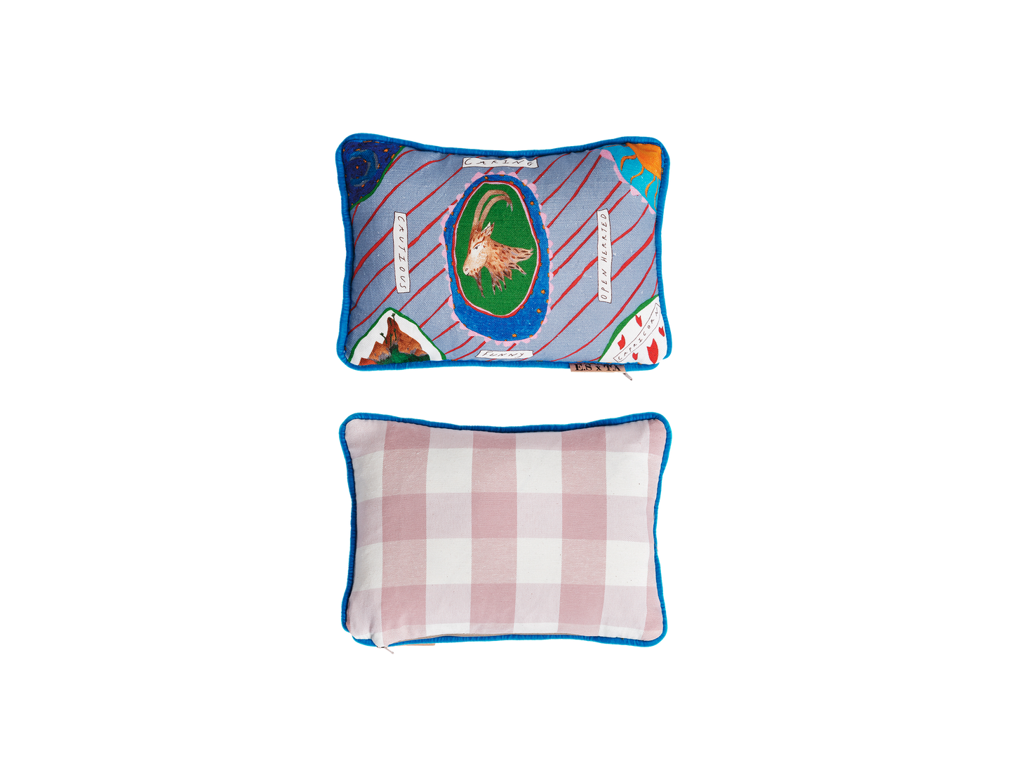 Capricorn Zodiac Cushion Collection – ES X TA